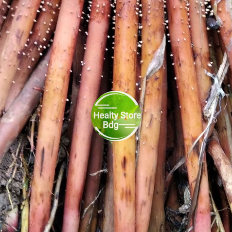 

Akar pinang segar per 500 gram