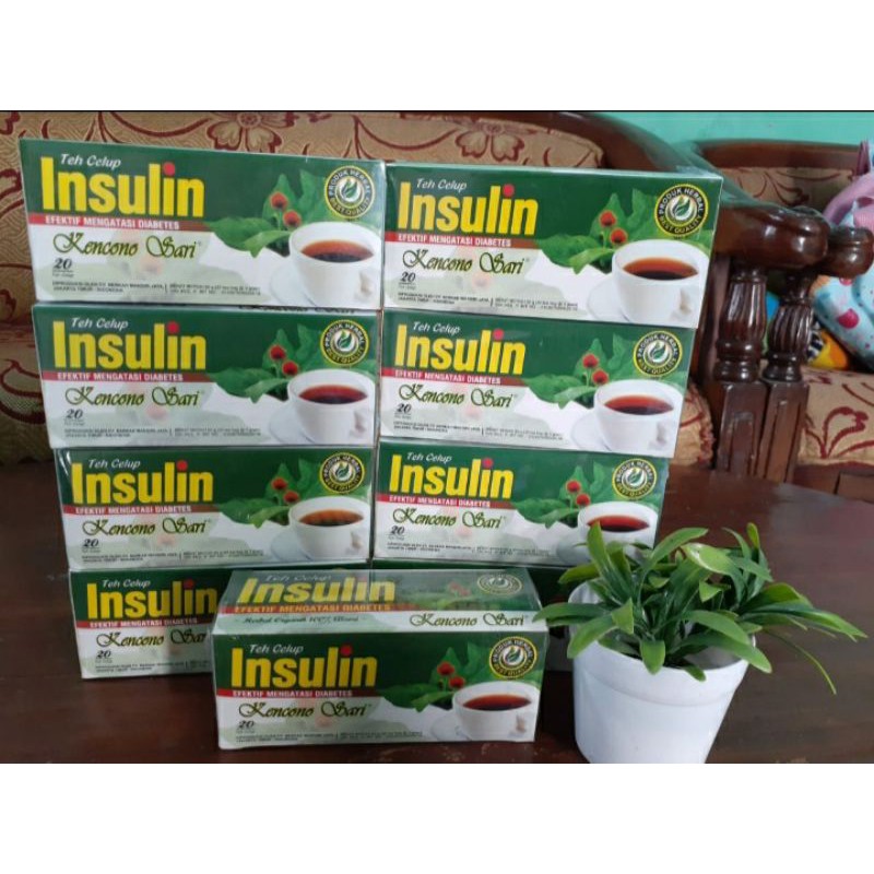 

TEH HERBAL DAUN INSULIN SARI KENCONO surabaya