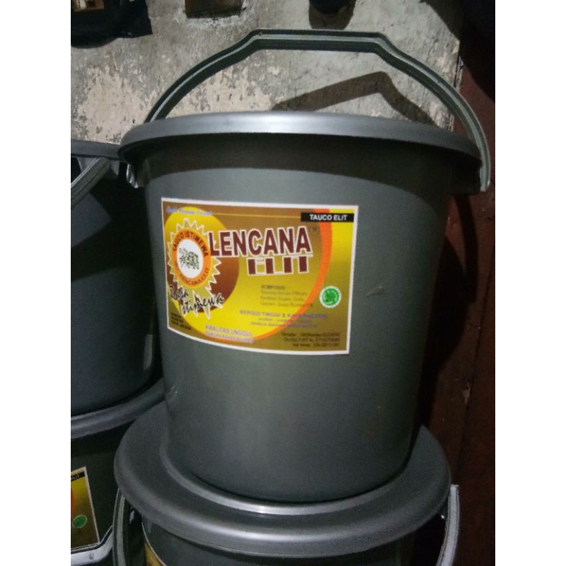 

TAUCO LENCANA ELIT KHAS PEMALANG TEGAL PEKALONGAN KUALITAS NO 1 HALAL