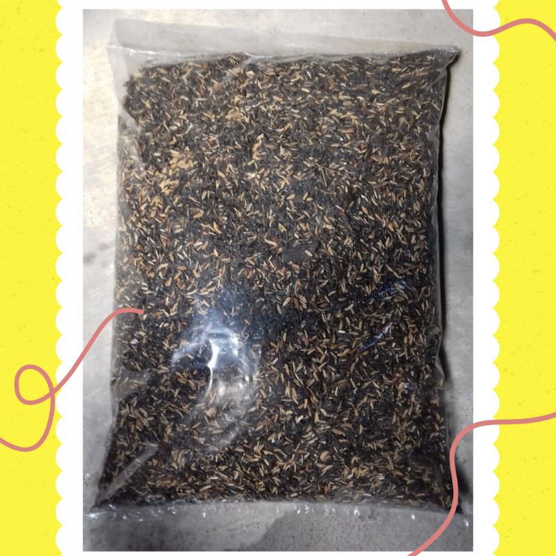 SEKAM BAKAR 60-70% Media Tanam