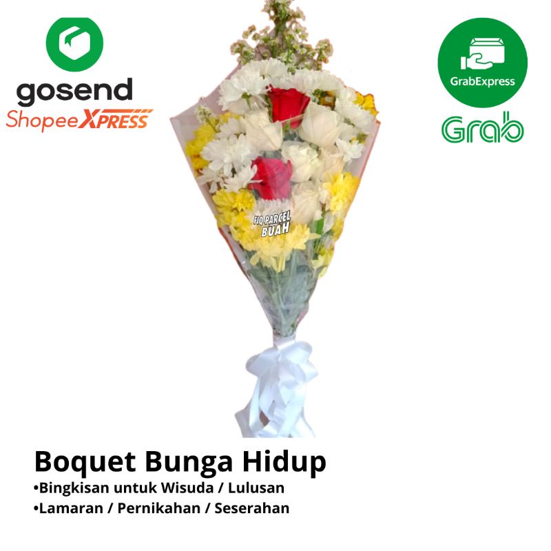 

Boquet Bunga Hidup Asli / Boquet Bunga Wisuda / Boquet Bunga Lamaran Segar