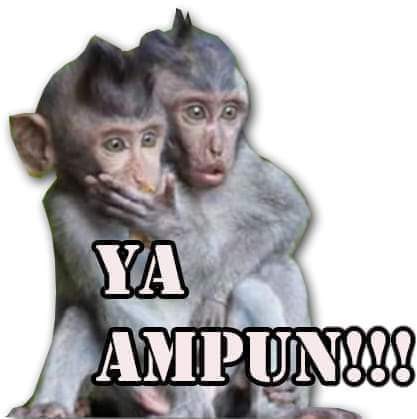 Crimp Ferrule Aluminium 2 Lubang Pengait Kawat Sling Ferol Klem Sling Pencetan Kait Penjepit