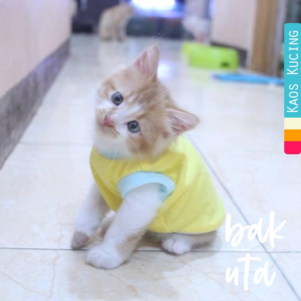 Kaos simple warna kuning lucu / kaos rumahan polos / baju kucing murah size S-XL