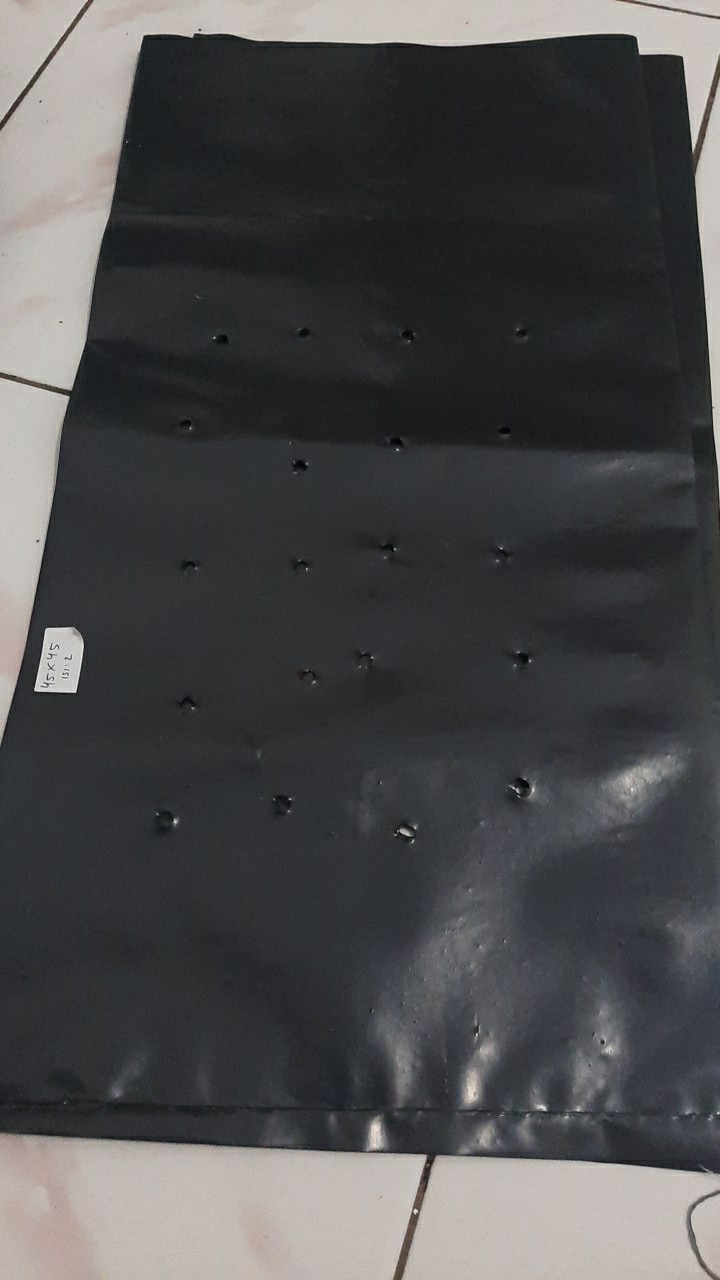 Polybag 45x45