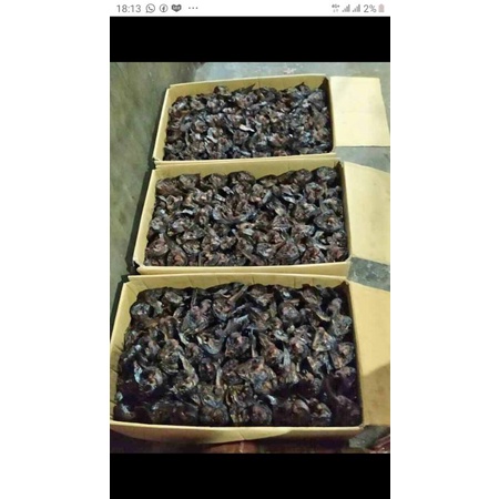 

lele asap...medan 250g 1/4