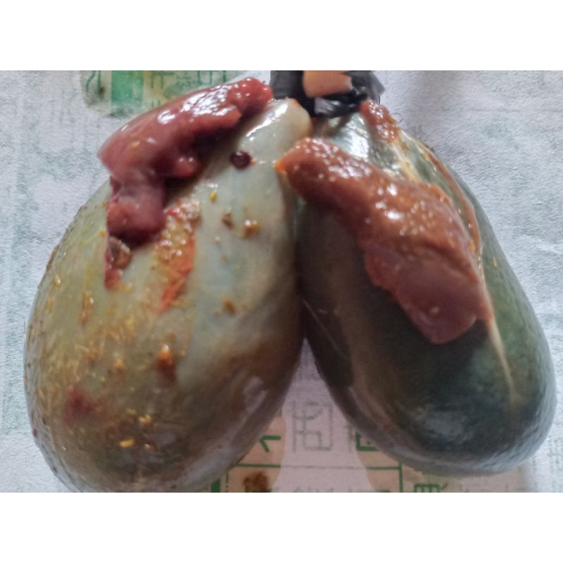 

Empedu Besar kambing muda 1 Pcs Fresh.