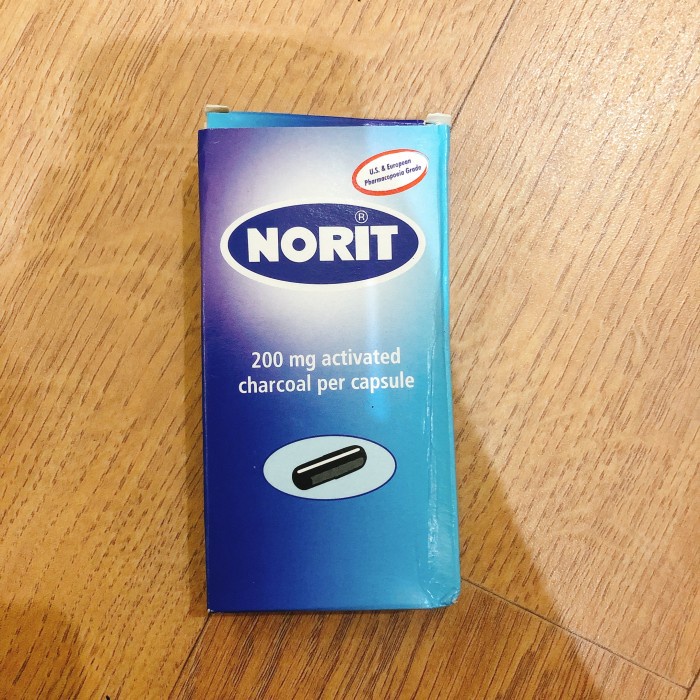 Jual Norit activated charcoal 200mg (30 capsules) Shopee Indonesia