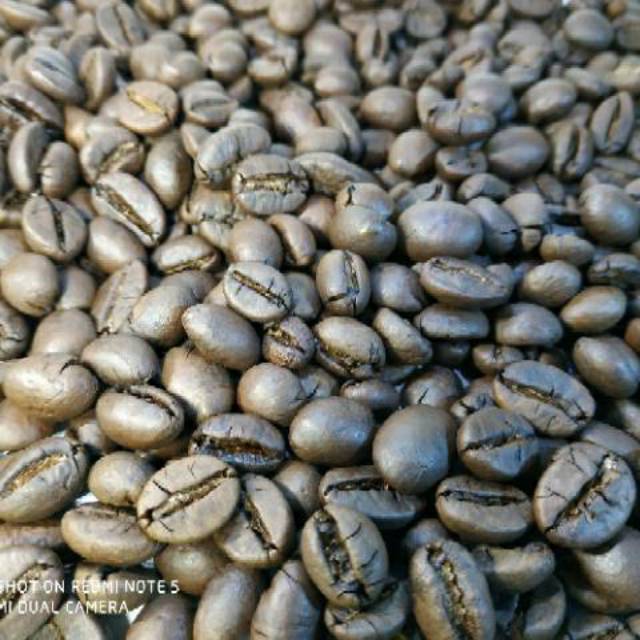 

Kopi Robusta