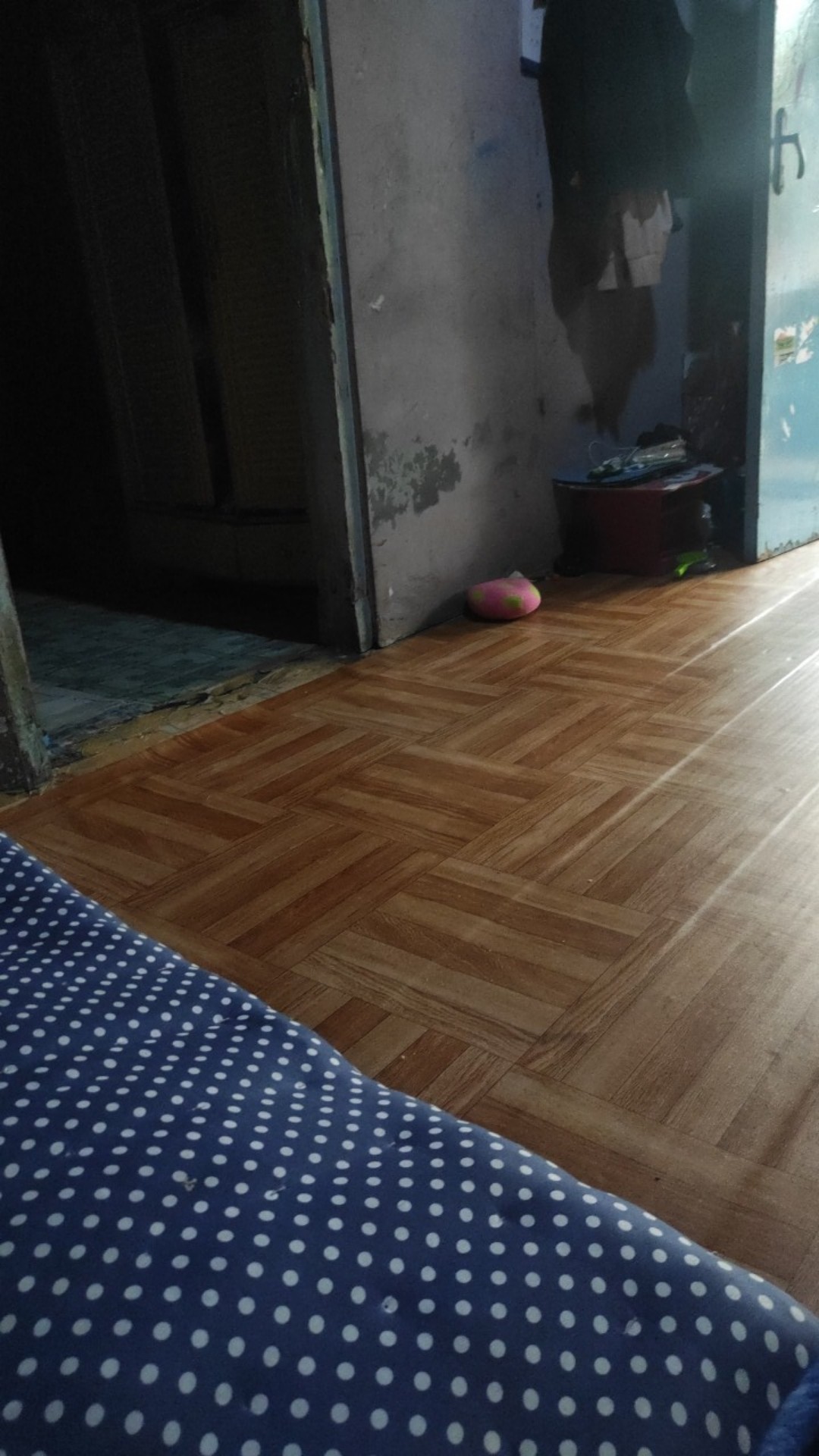 Cat Tembok Kiloan 1 Kg Murah