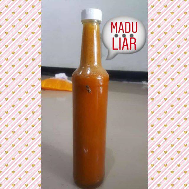 

Madu liar / madu hutan