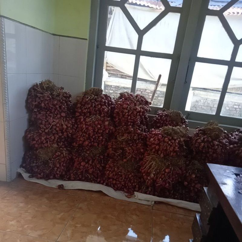 

bawang merah brebes fresss