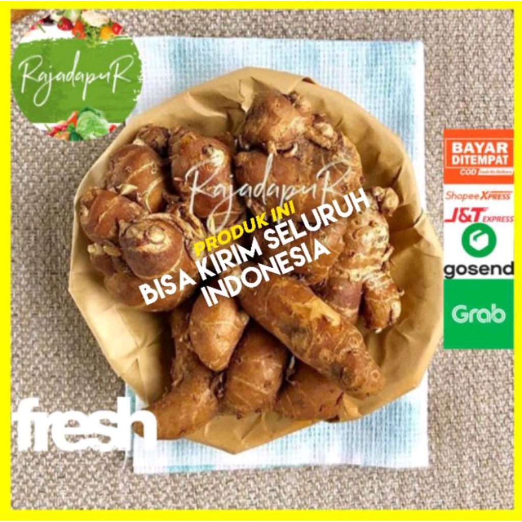 

Kencur Segar Asli 250gr