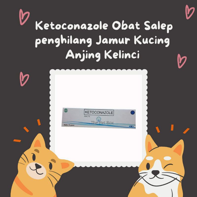 Ketoconazole Obat Salep Penghilang Jamur Kucing Anjing Kelinci