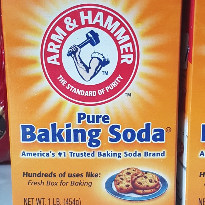 

Ht662D Arm & Hammer Baking Soda 454 Gram Ht5H