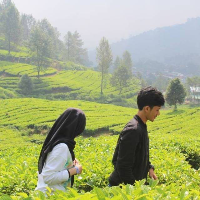 exaver26