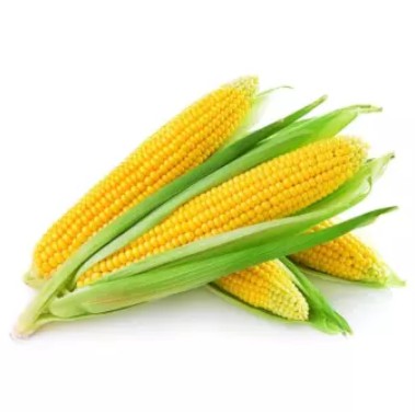

Jagung Manis Satuan