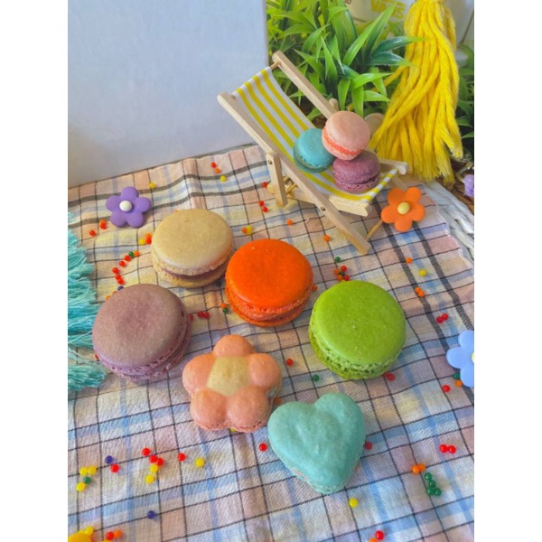 

REGULAR MACARON 16