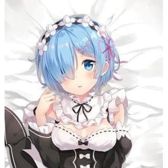 Sarung Bantal Peluk Dakimakura Anime Re Zero Rem RZR1