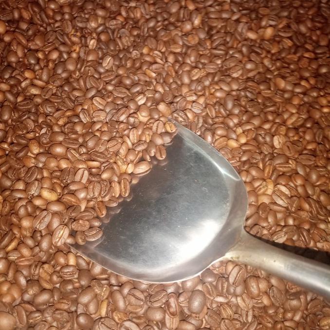 

Murah Arabica Roastbean 1Kg - Bubuk Murah