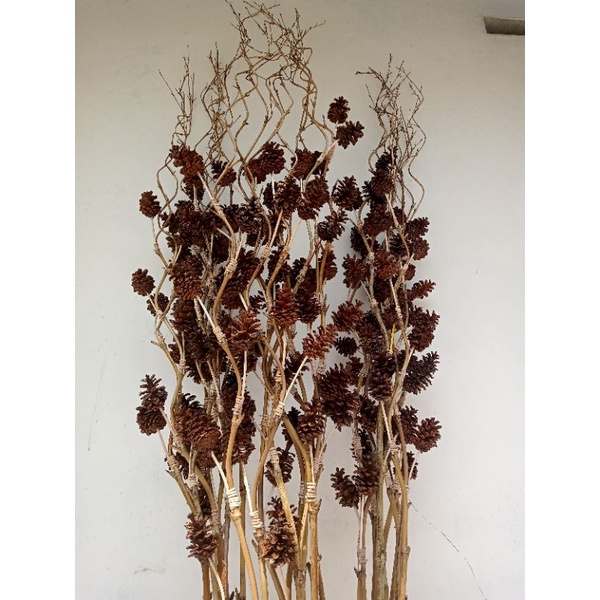 Image of 1 bambu ulir bunga PINUS kering rustic #2