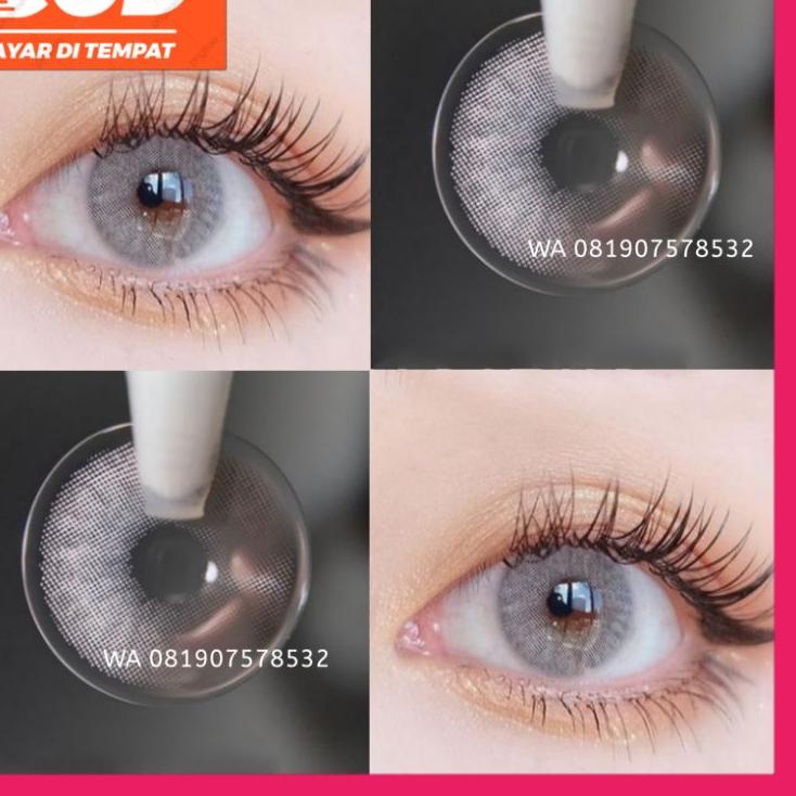 TLW.11Au22p | SOFLENS GREY  Softlens Normal Softlens Minus Softlens Grey Soflens Normal Soflen grey 