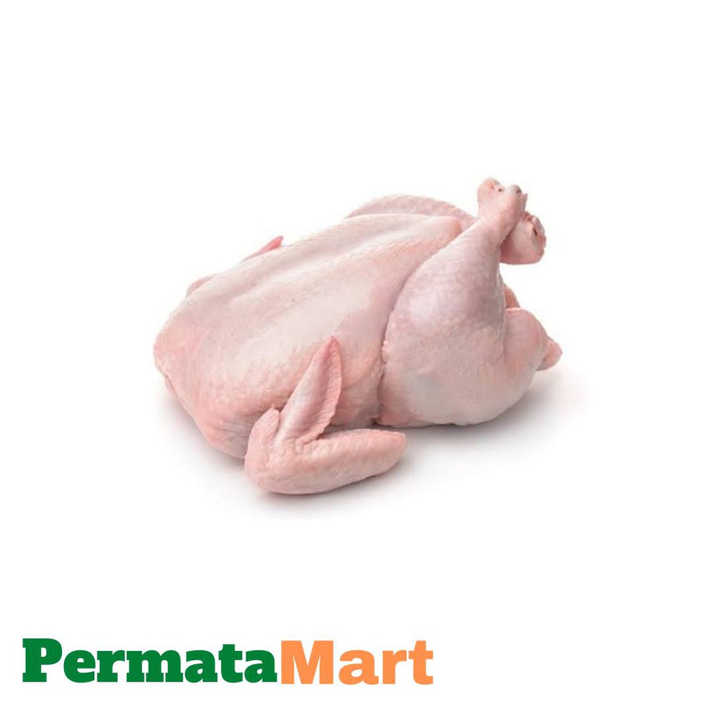 

AYAM KAMPUNG 0,7