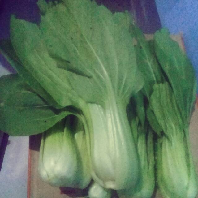 

Pakcoy / Sawi Segar / 500 gr / 8.500