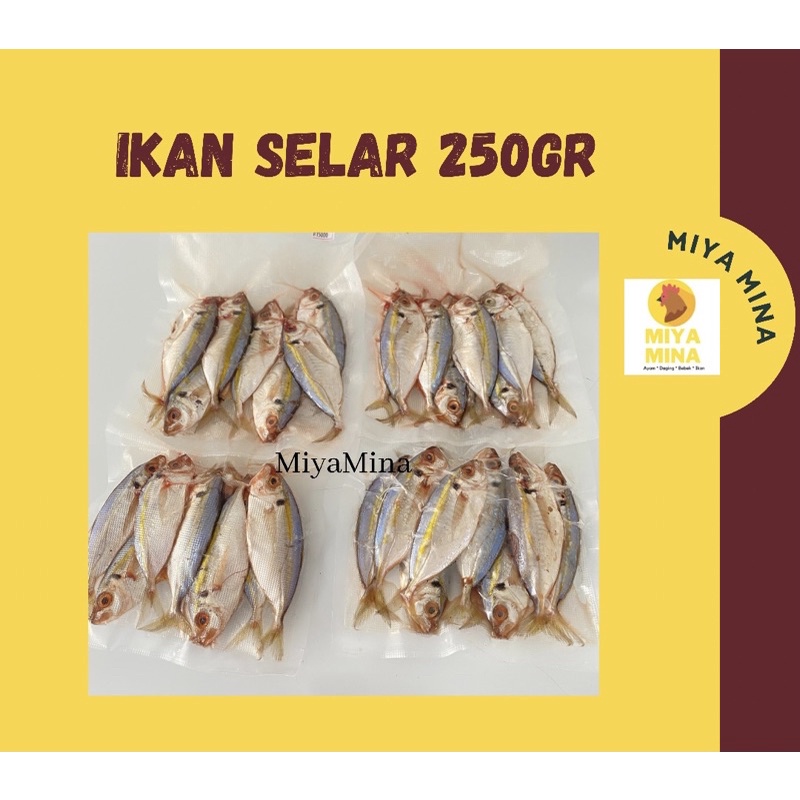 

IKAN SELAR 250gr