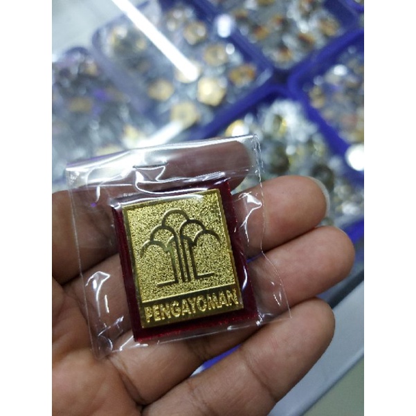 PIN PENGAYOMAN