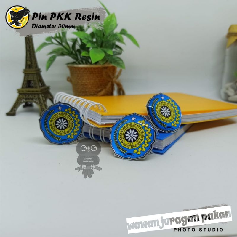 PIN PKK pin pemberdayaan kesejahteraan keluarga, bross pkk