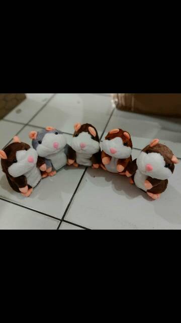 Hamster Bicara / Hamster Rekam /Hamster Pintar