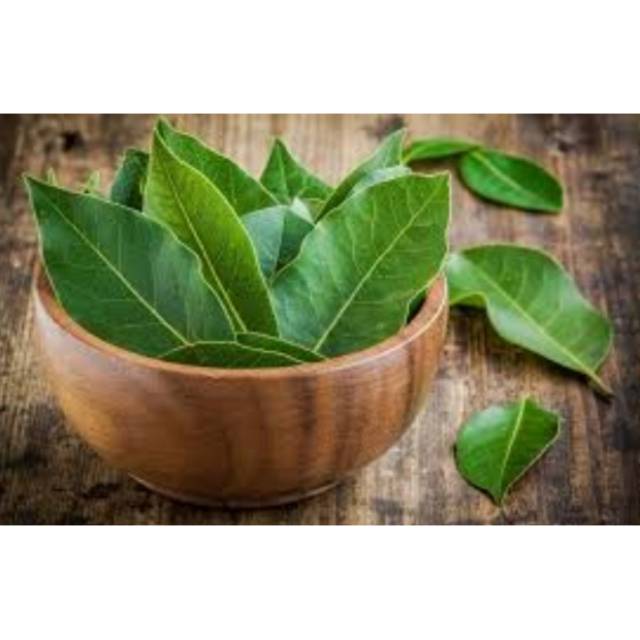 

Daun salam