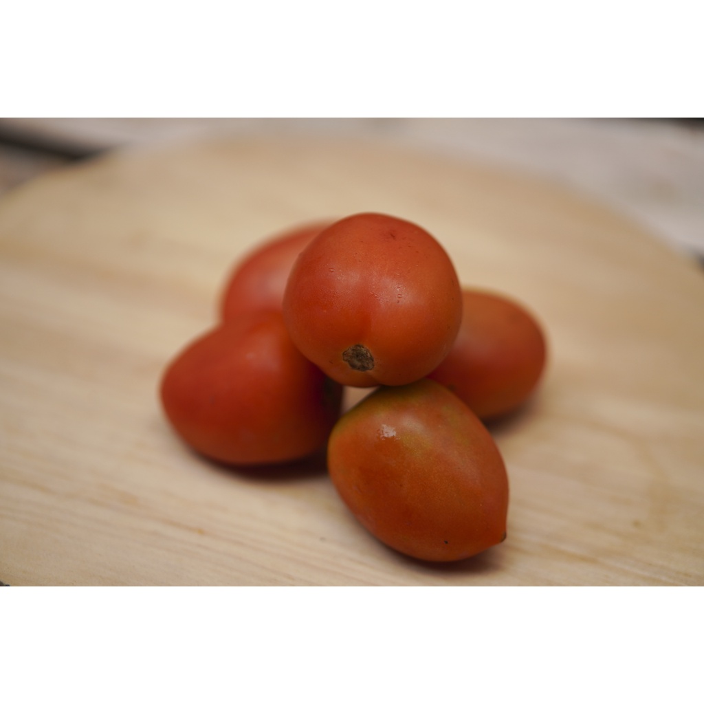 

Tomat merah segar