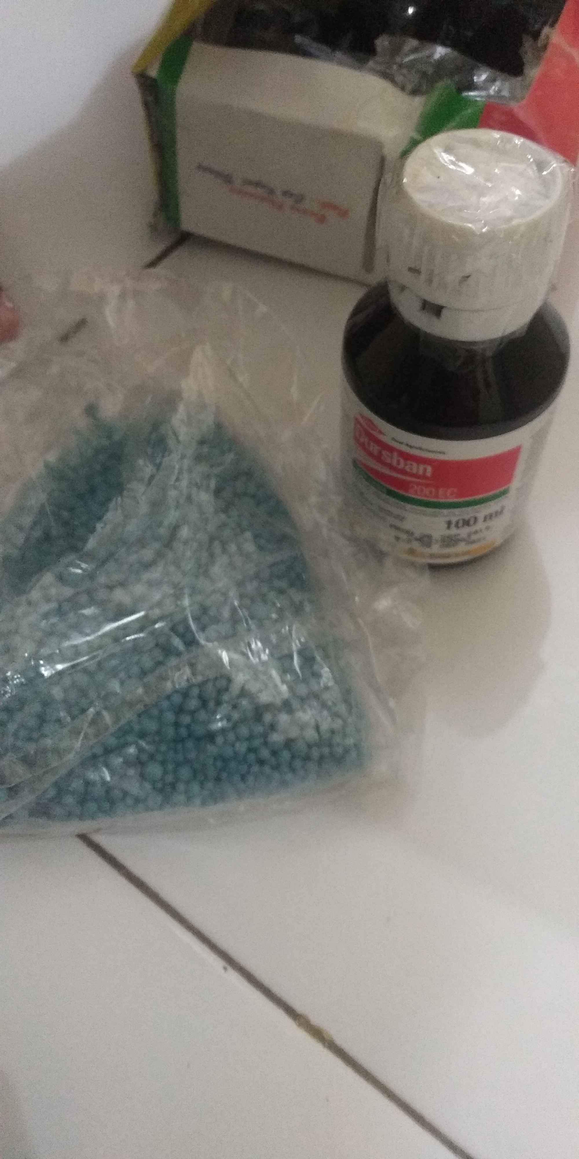 Dursban 200ec 100ml / Insektisida