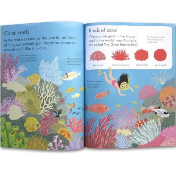 

Usborne Sticker Book Our World - Buku Stiker Edukasi Impor Anak Kado Thebest