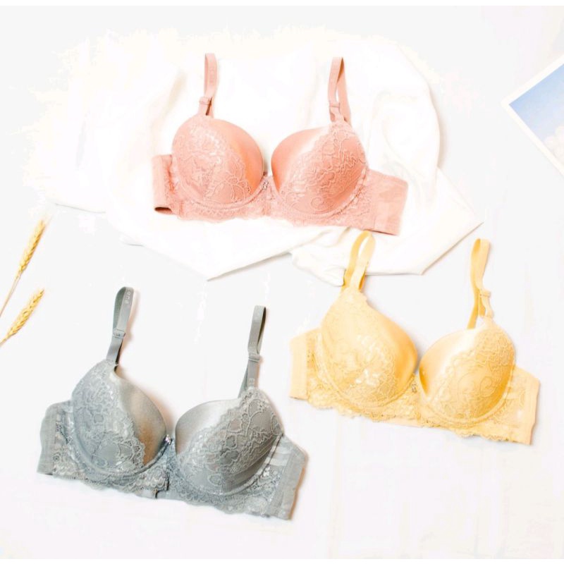 Elena Bra Cup Sedang E 24509 B