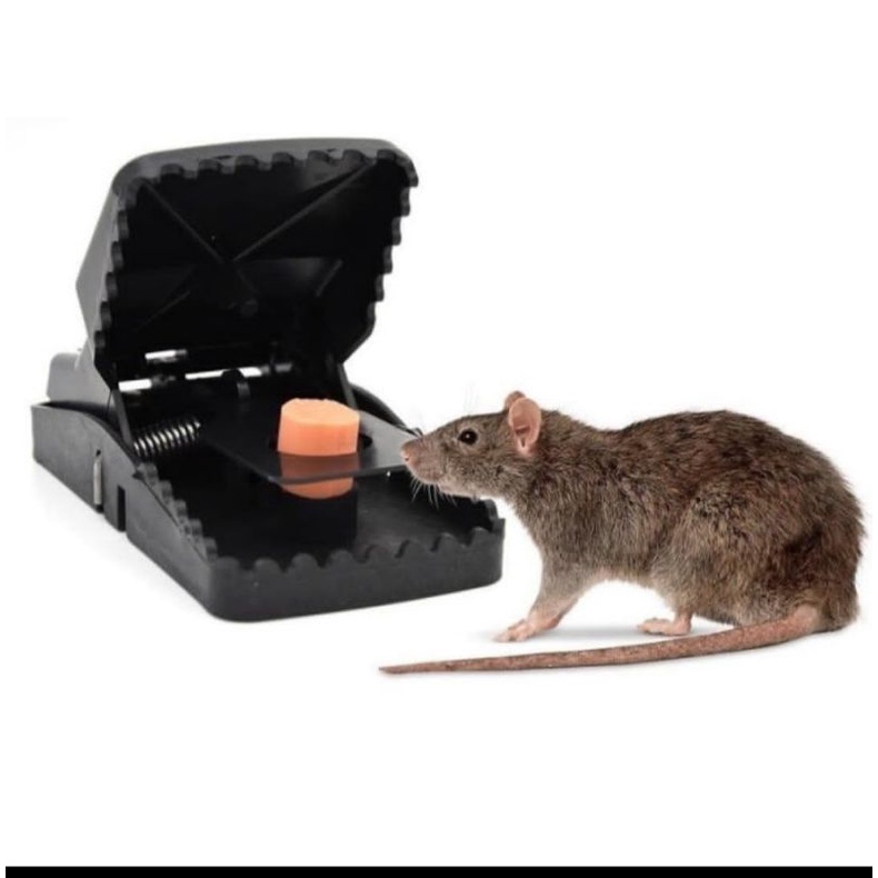 PERANGKAP TIKUS AMPUH