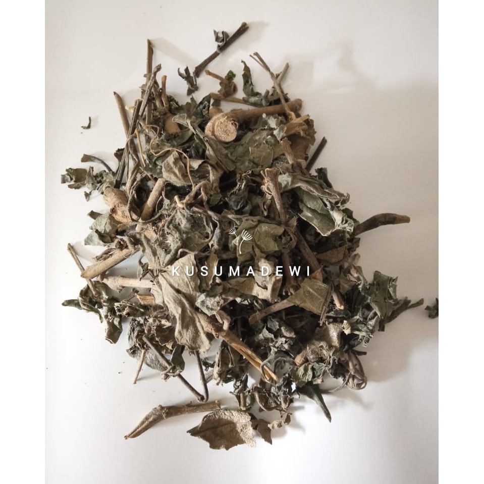 

Daun Keji Beling 1 kg
