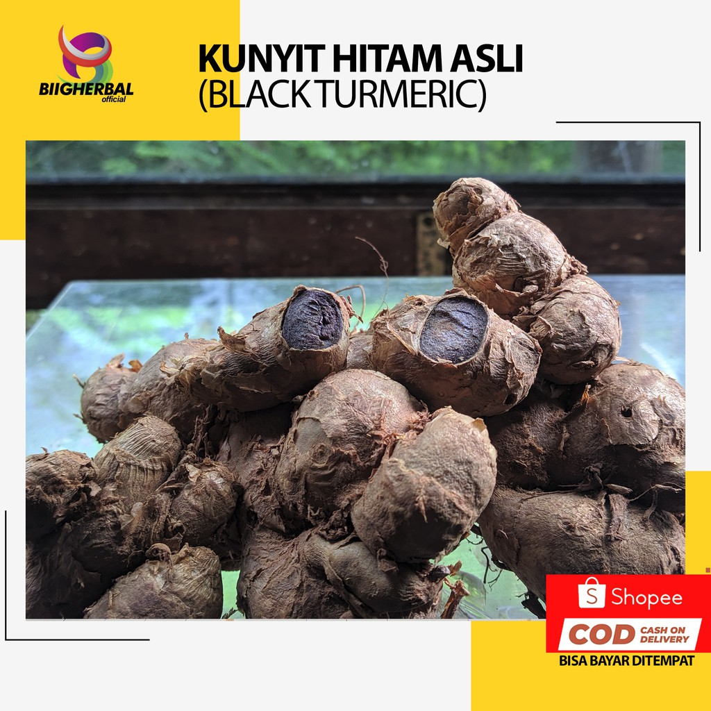 KUNYIT HITAM  RIMPANG UMBI KUNYIT HITAM ASLI