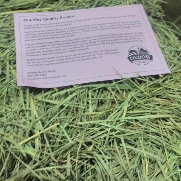 Oxbow ORCHARD Grass Hay 1Kg - Makanan Kelinci Rumput Kelinci Import Setara Timothy