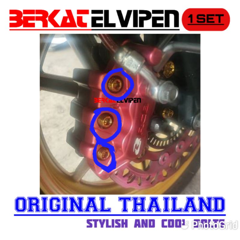 Baut Probolt Kaliper Kepala Babi RCB Stainless Thailand