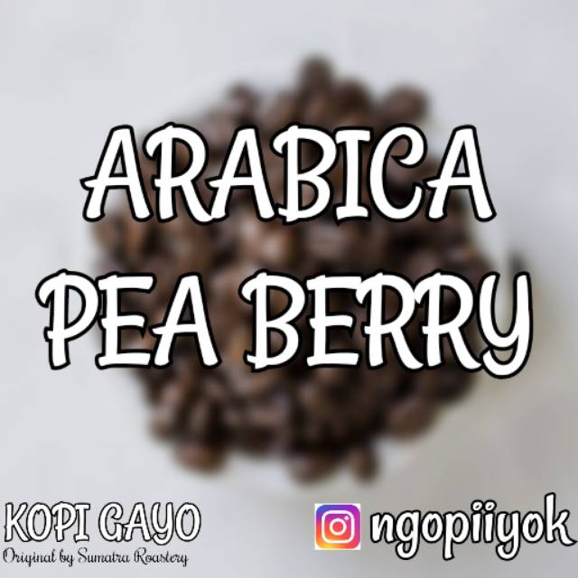 

Arabica Pea Berry