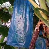 paket brongsong pisang |Plastik Brongsong 25kg