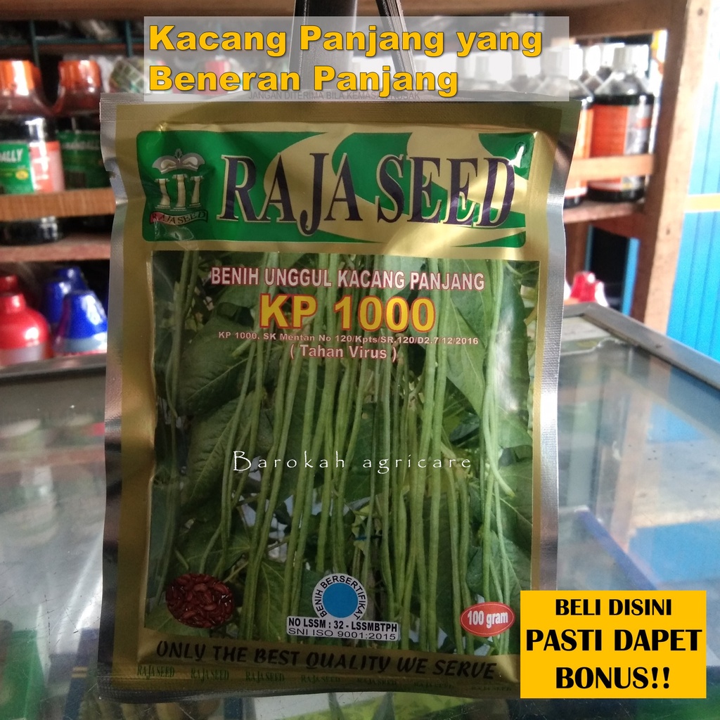 Benih Kacang Panjang KP 1000 Tahan Virus by Raja Seed isi 100 gram