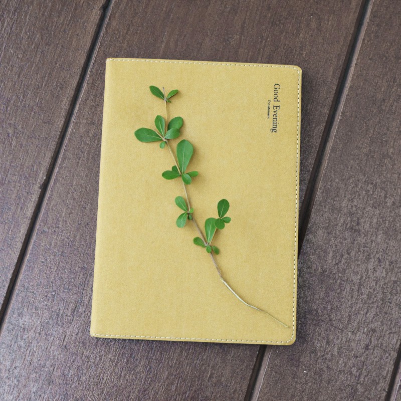 

Good Evening Diary Monthly Planner A5 (Buku Tulis)