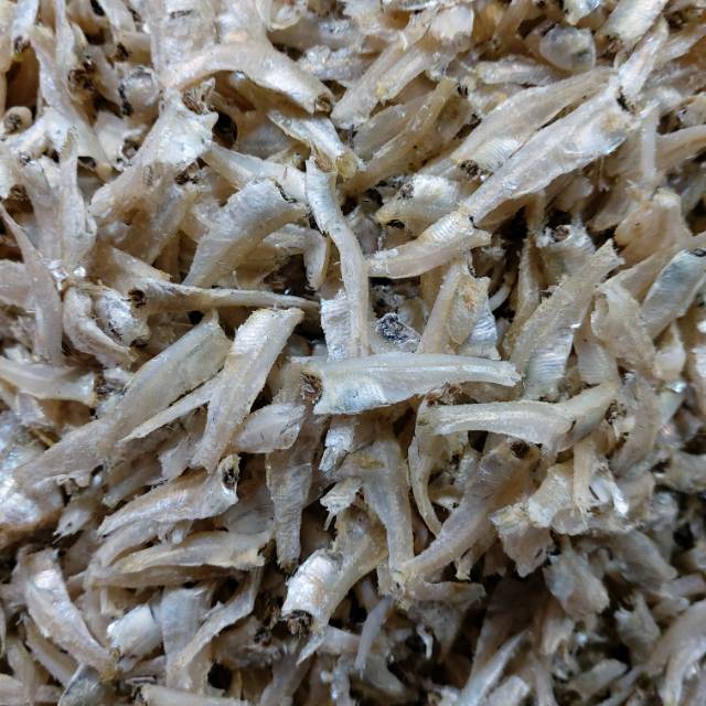 

Ikan terivekto 85/kg