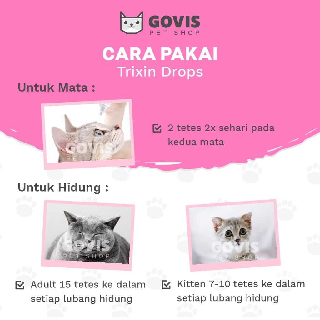Trixin Obat Mata Kucing Atasi Iritasi Belekan Dan Hidung Meler