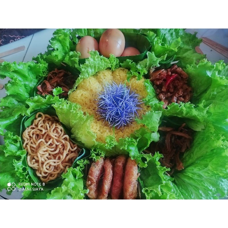 

nasi tumpeng