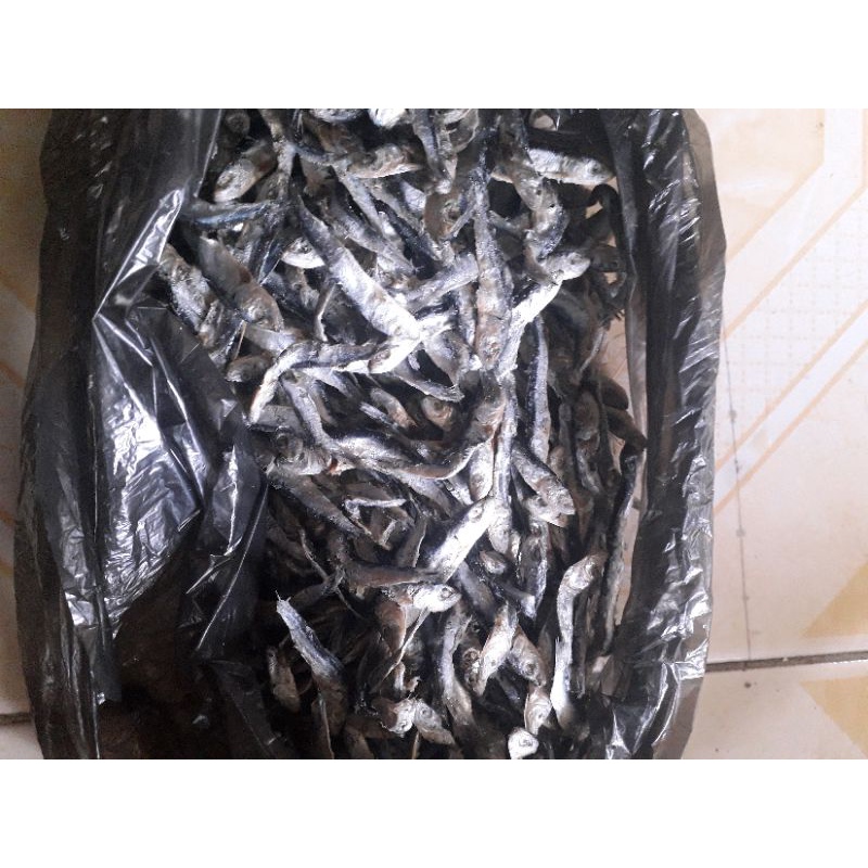 

ikanasinsamenit500gmurah