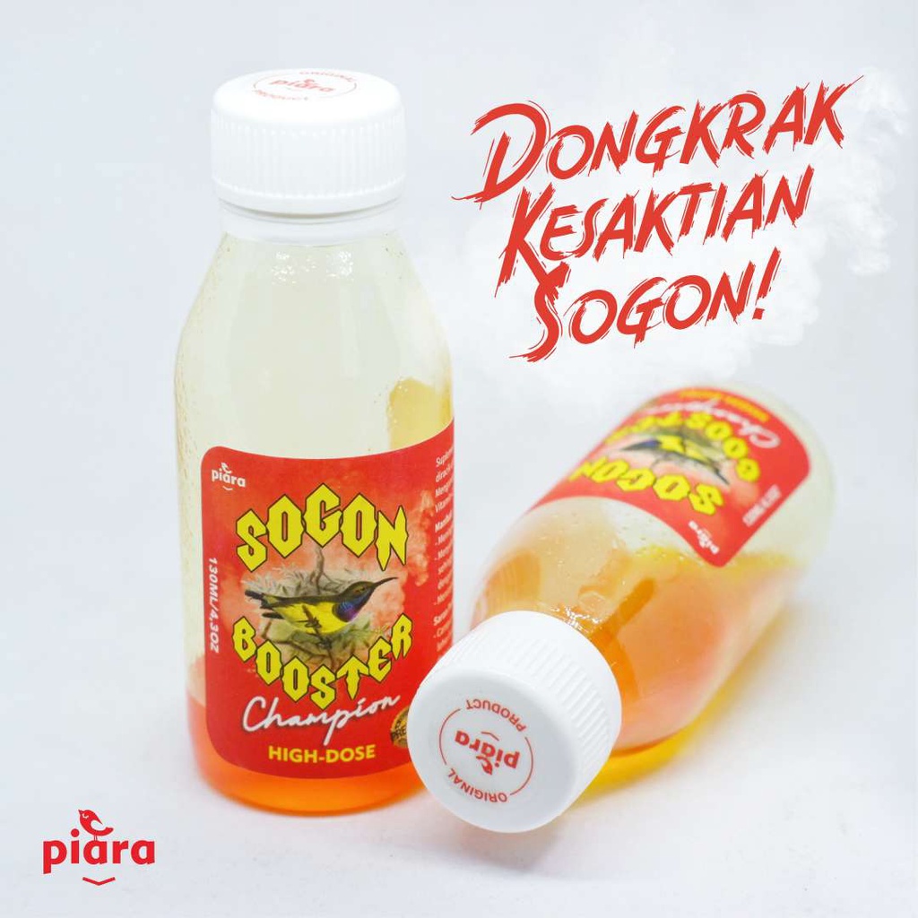 DOPING SOGON DOSIS TINGGI SOGON BOOSTER CHAMPION